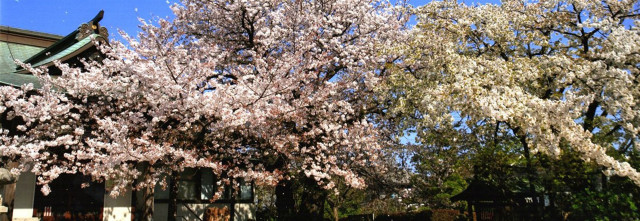 安楽寺（写経体験）